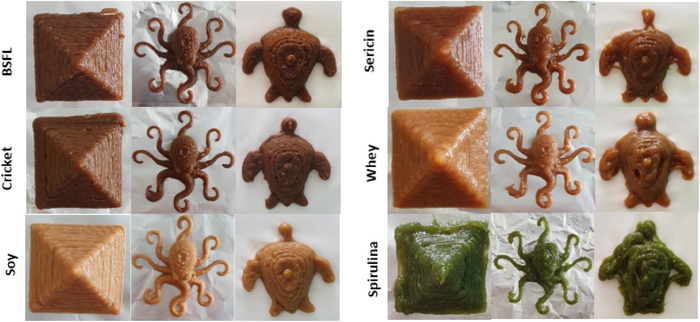 3D printed designs of protein inks