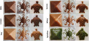 3D printed designs of protein inks