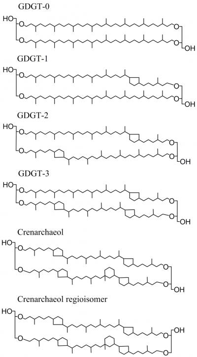 Membrane Structure