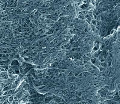 NIST Study Suggests Carbon Nanotubes May Protect DNA from Oxidation