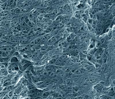 NIST Study Suggests Carbon Nanotubes May Protect DNA from Oxidation