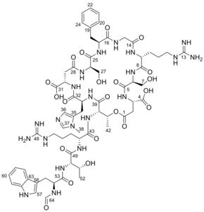The structure of evybactin