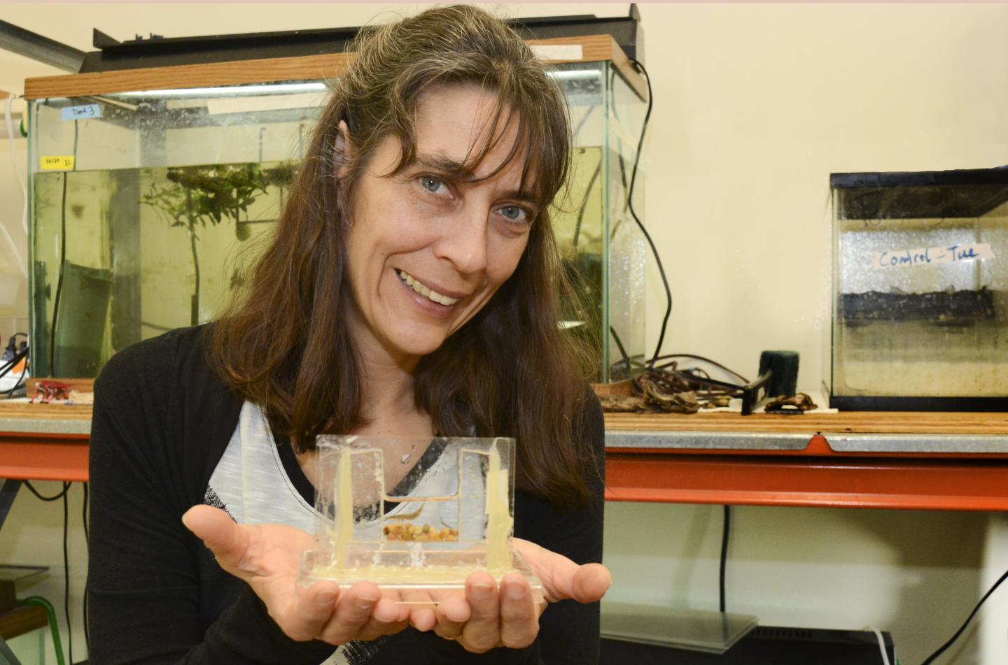 Elke Buschbeck, University of Cincinnati