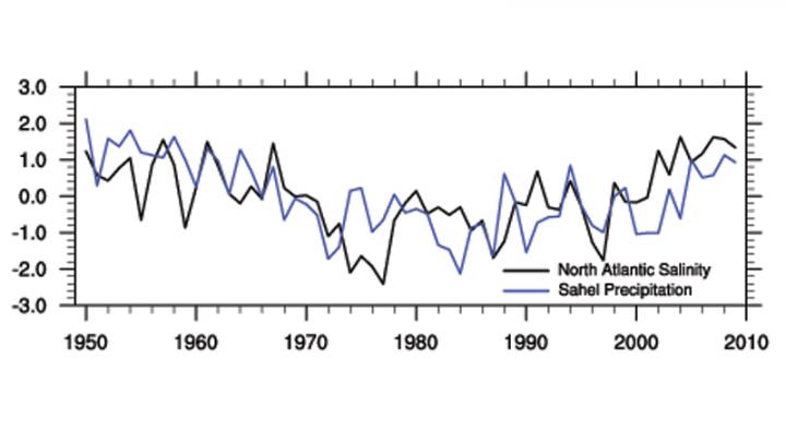 Salinity and Rainfall Data