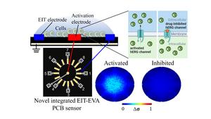 Non-Invasive EIT–EVA Method for Real-Time hERG Channel Drug Screening