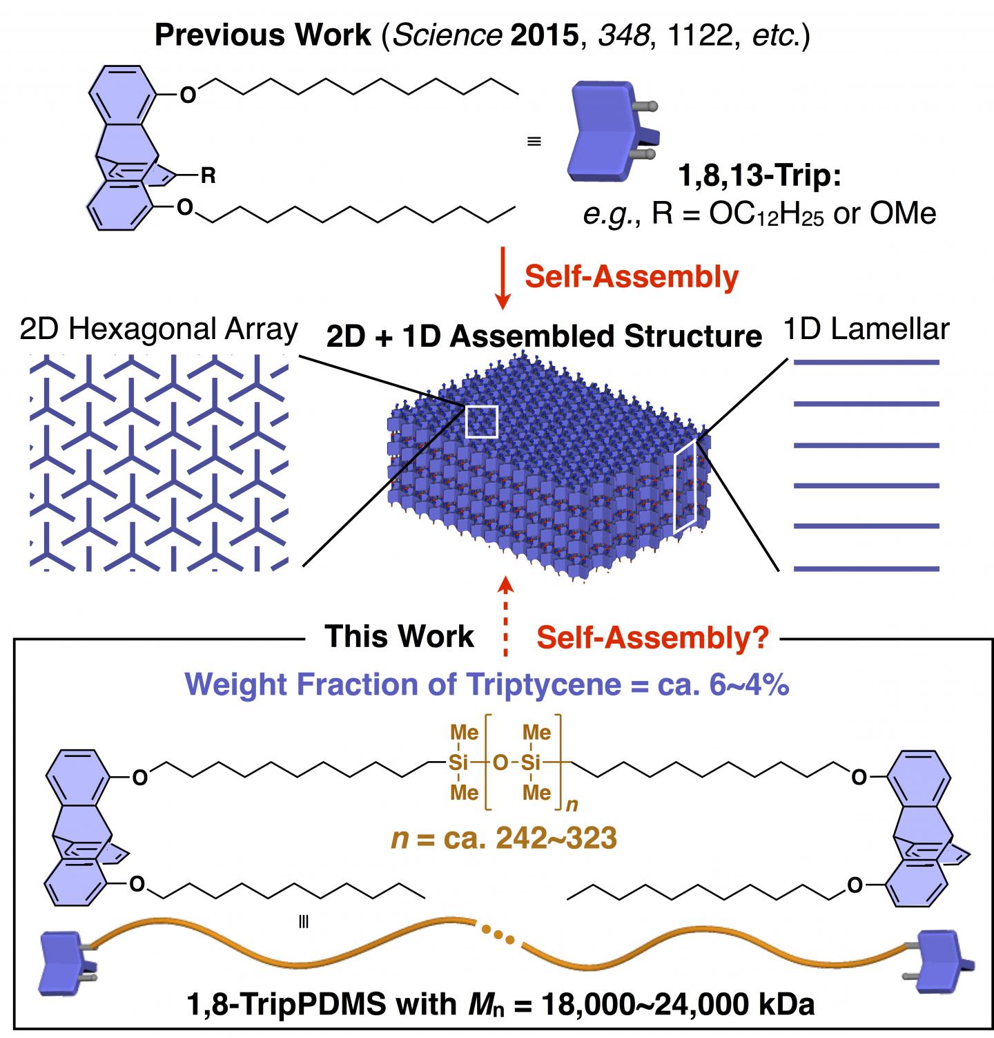 Self-Assembling 2D+1D Polymer Structures