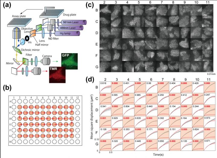Fig.2 The Apparatus Achieved Large-Scale Single-Molecule Analysis on More Than 1,600 Cells Per Day