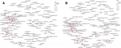 Figure 5: Network Analysis Depicting Intra-Kingdom and Inter-Kingdom Correlations