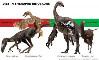 Meat-eating dinosaurs not so carnivorous afte | EurekAlert!