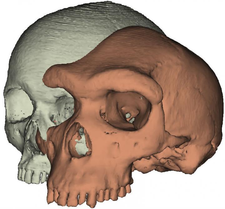 Modern Human Skull Alongside Kabwe1