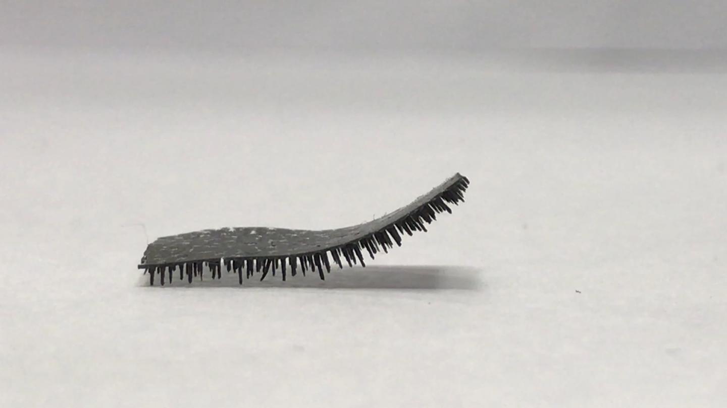 A Novel Tiny, Soft Robot with Multi-Legs