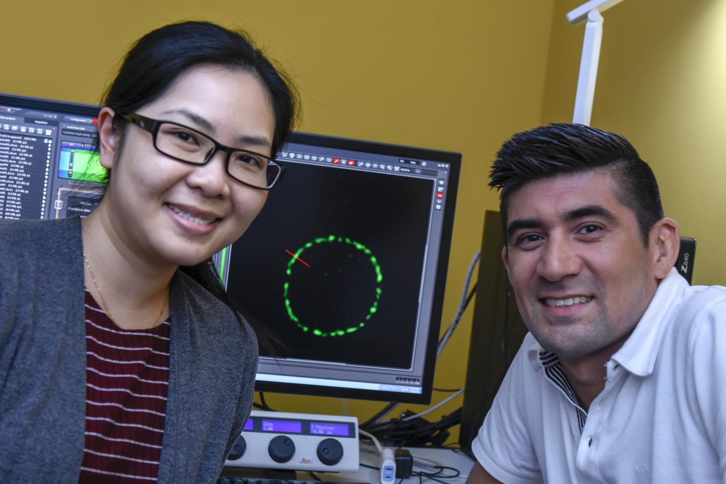 Bill Söderström & Helena Chan, Okinawa Institute of Science and Technology (OIST)