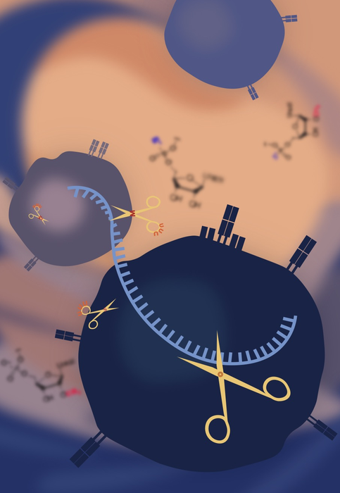Chemically-modified guide RNAs