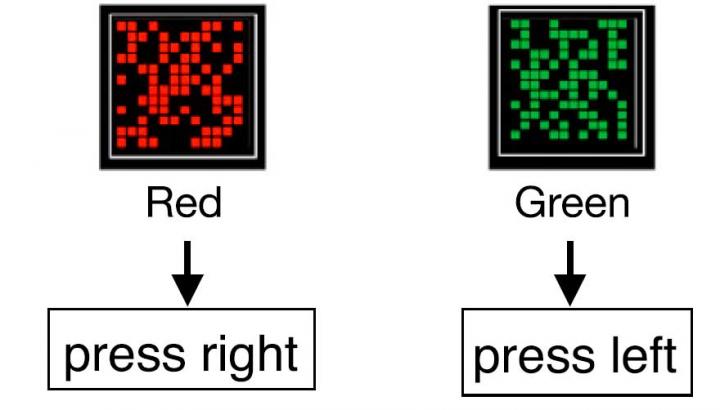 Experiment Reveals How Brain Switches Strategies