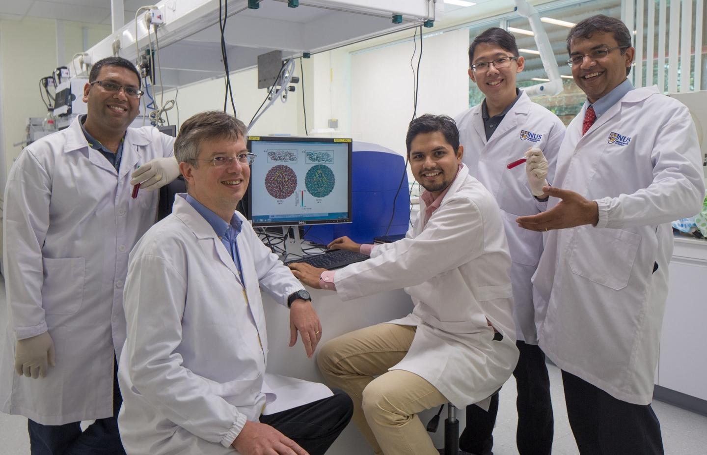 NUS Scientists Discover Novel Vulnerabilities in Dengue Virus
