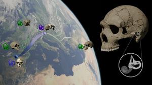 Neandertals in space