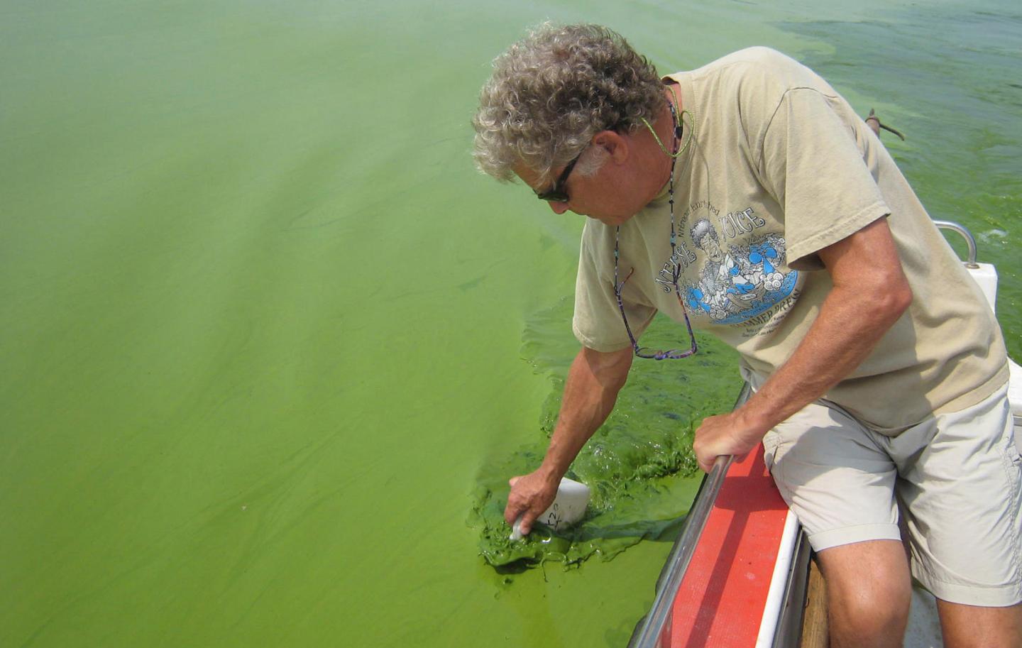 Sampling a Harmful Algal Bloom in Lake Taihu, China