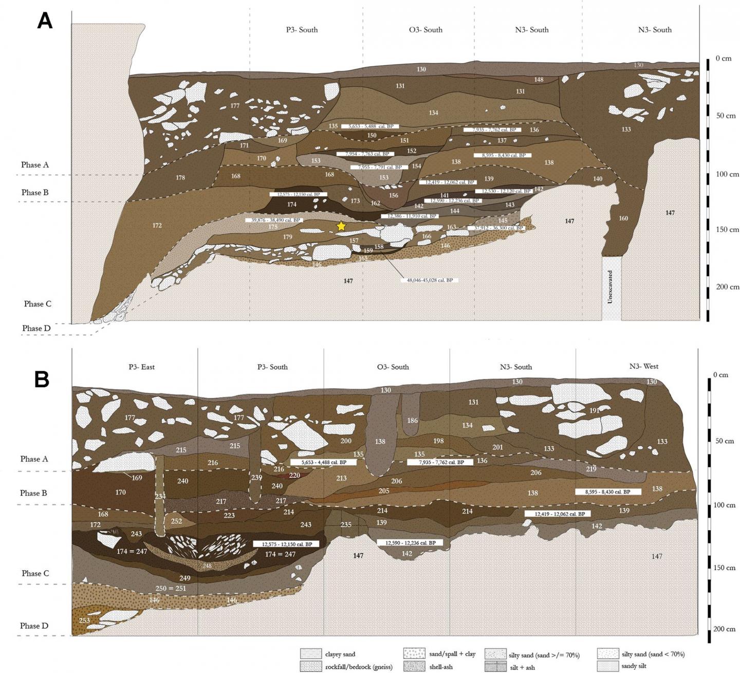 45,000 Years Ago in Sri Lanka: the Oldest Microlith Technology in a Rainforest Setting