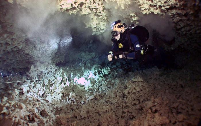 Dive in the cenotes