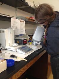 Testing Urban Soil in Lab