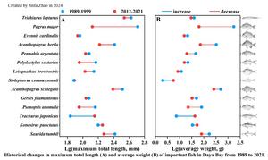 Historical changes in maximum total length(A) and average weight(B) of important fish in Daya Bay from 1989 to 2021