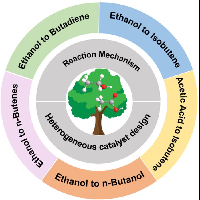 The detailed insights into the synthesis of C4 chemicals from biomass-derived ethanol and acetic acid