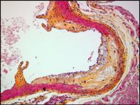 Control Shows Build Up