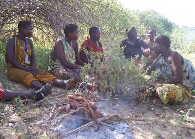 Hadza Roasting Tubers