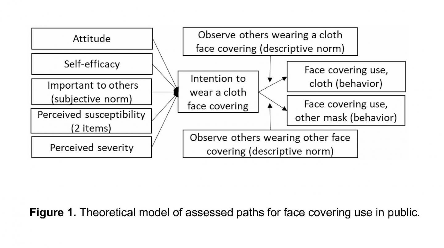 Theoretical Model of Assessed Paths for Face Covering Use in Public