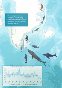 A regime shift in an Arctic marine ecosystem likely to become permanent