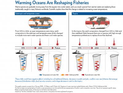 Warming Oceans Are Reshaping Fisheries