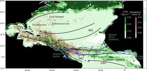 Image 1 chart