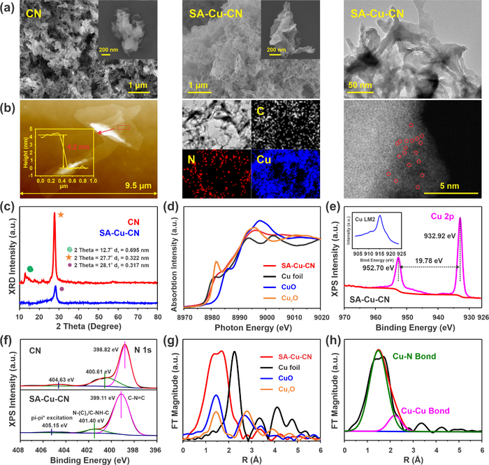 New Strategy Proposed for Efficient Degradation of Antibiotics