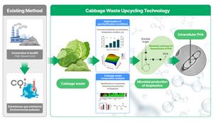 Schematic diagram of cabbage waste upcycling technology