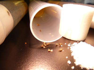 A Sweet Death for Flies