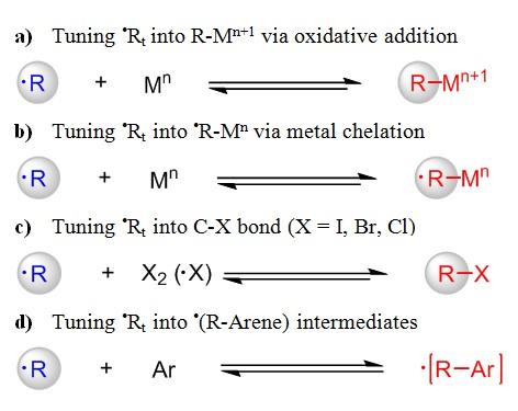 Tuning Radical Reactivity for Selective Radical/radical Cross-Coupling