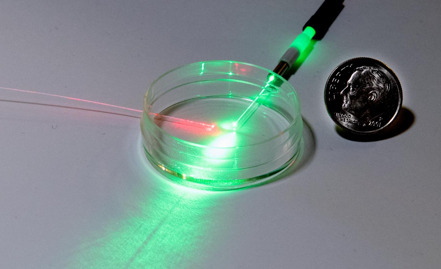 Lasers for NIST pH Sensor