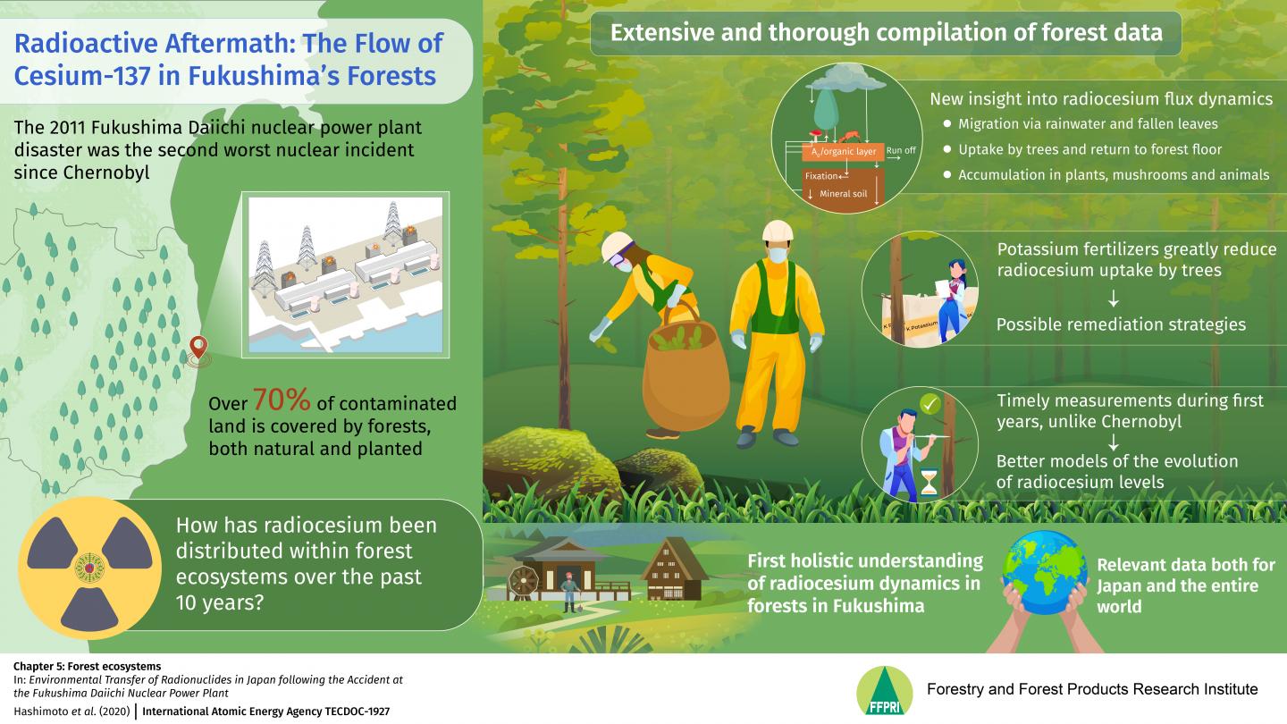 Radioactive Aftermath: The Dynamics of Radiocesium in Forests