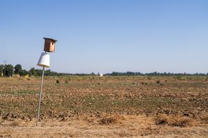 Nest box on farm land