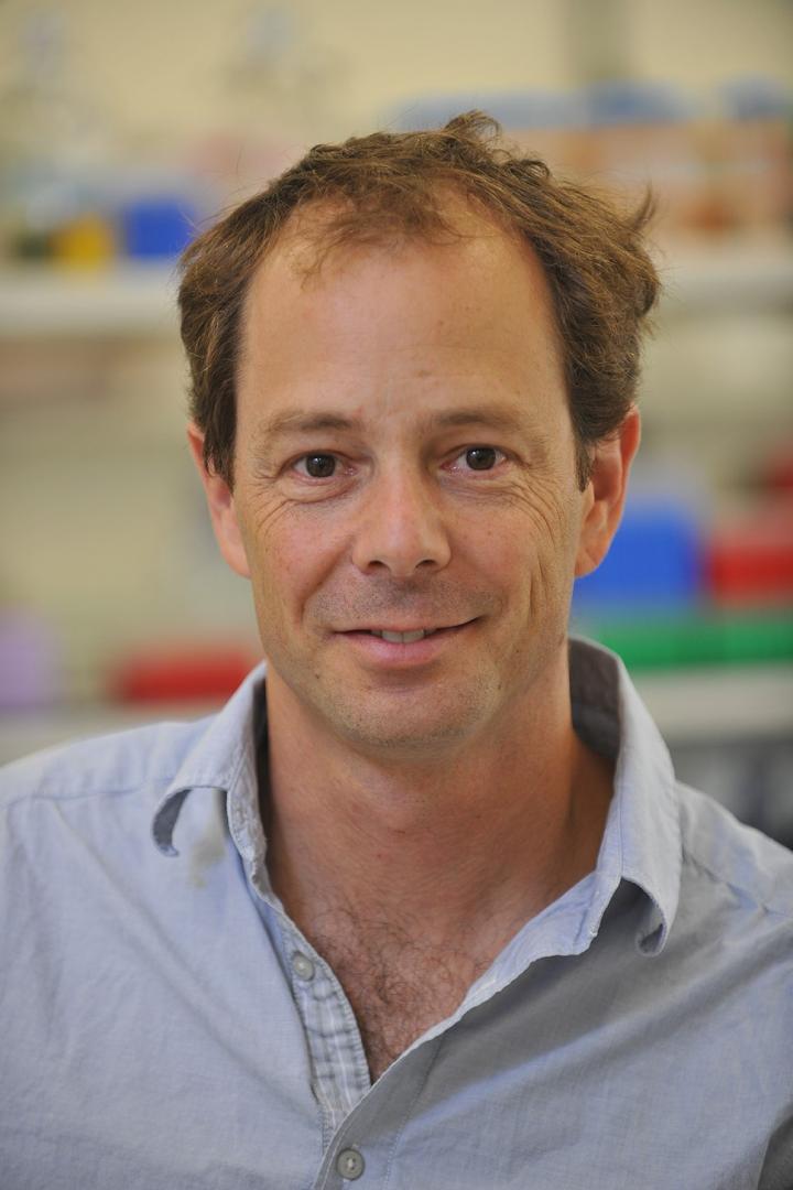 Professor Ami Citri, The Hebrew University of Jerusalem