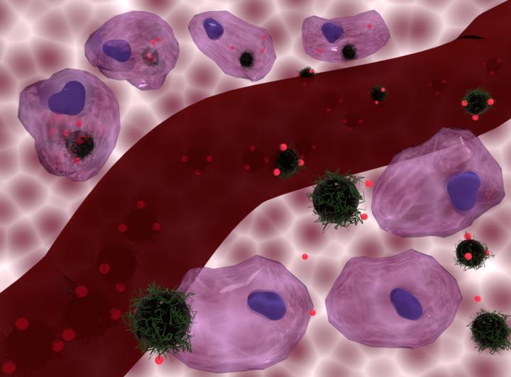 Chemotherapy delivered via magnetic nanoparticles