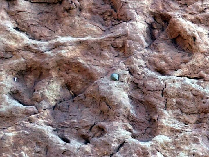 Well Preserved Footprints