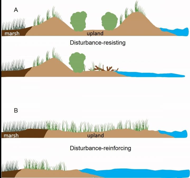 Study predicts faster retreat of barrier islands