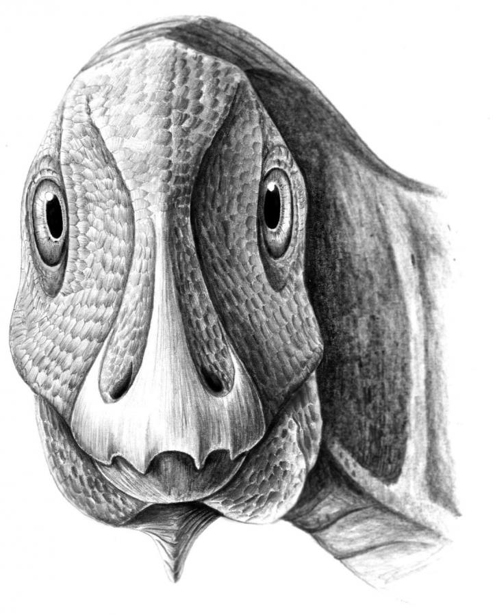 <i>Telmatosaurus</i> Reconstruction