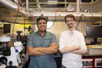 Scientists from the Femtosecond Spectroscopy Unit