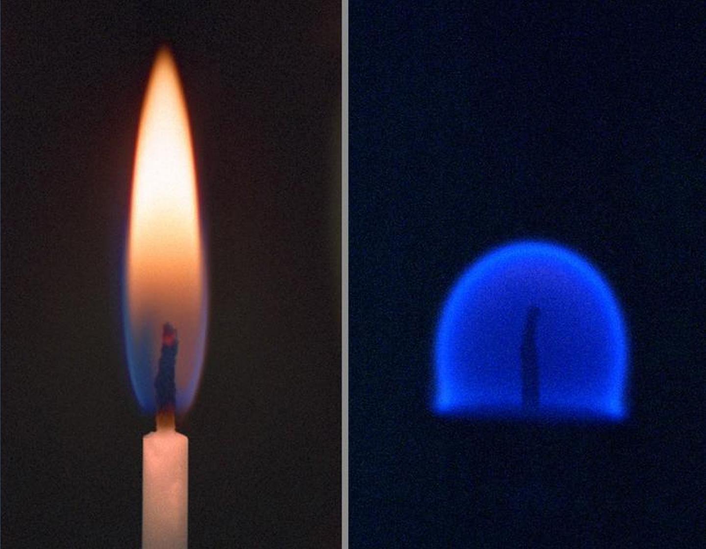 Difference Between a Flame in Gravity and Microgravity