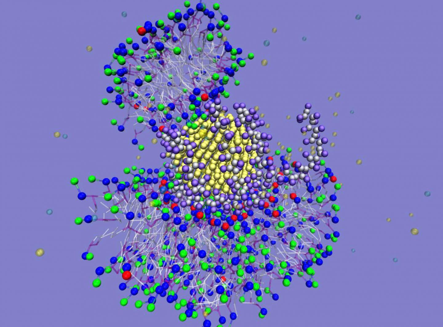 Geiger -- Nanoparticle Interaction 