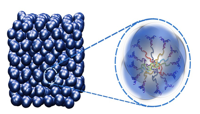 Cluster crystals consist of a core of organic polymers surrounded by DNA molecules (right). Pressed together (left), they exhibit properties of crystals and liquids at the same time.