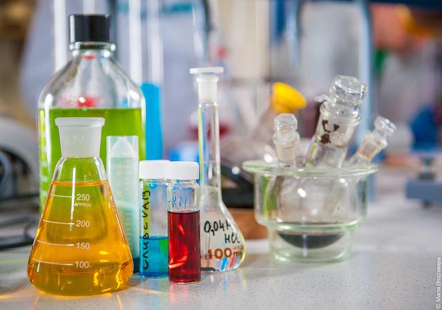 Picture from the Laboratory