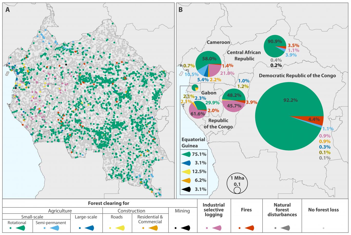 Old-School Tree Cutting Drives Deforestation in the Congo Basin (1 of 4)